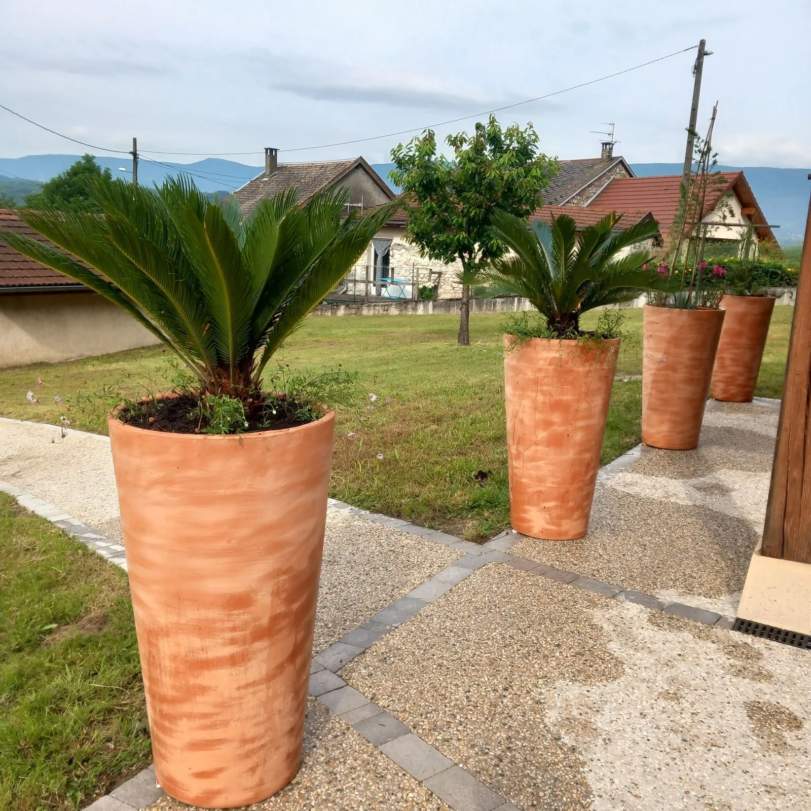 Vases de plantes dans un jardin