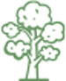 Pictogramme d'arbre