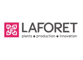 Logo Laforet